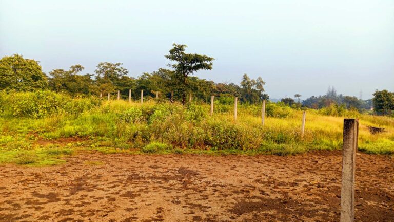 River Side farm 2 Khopoli Pali Road